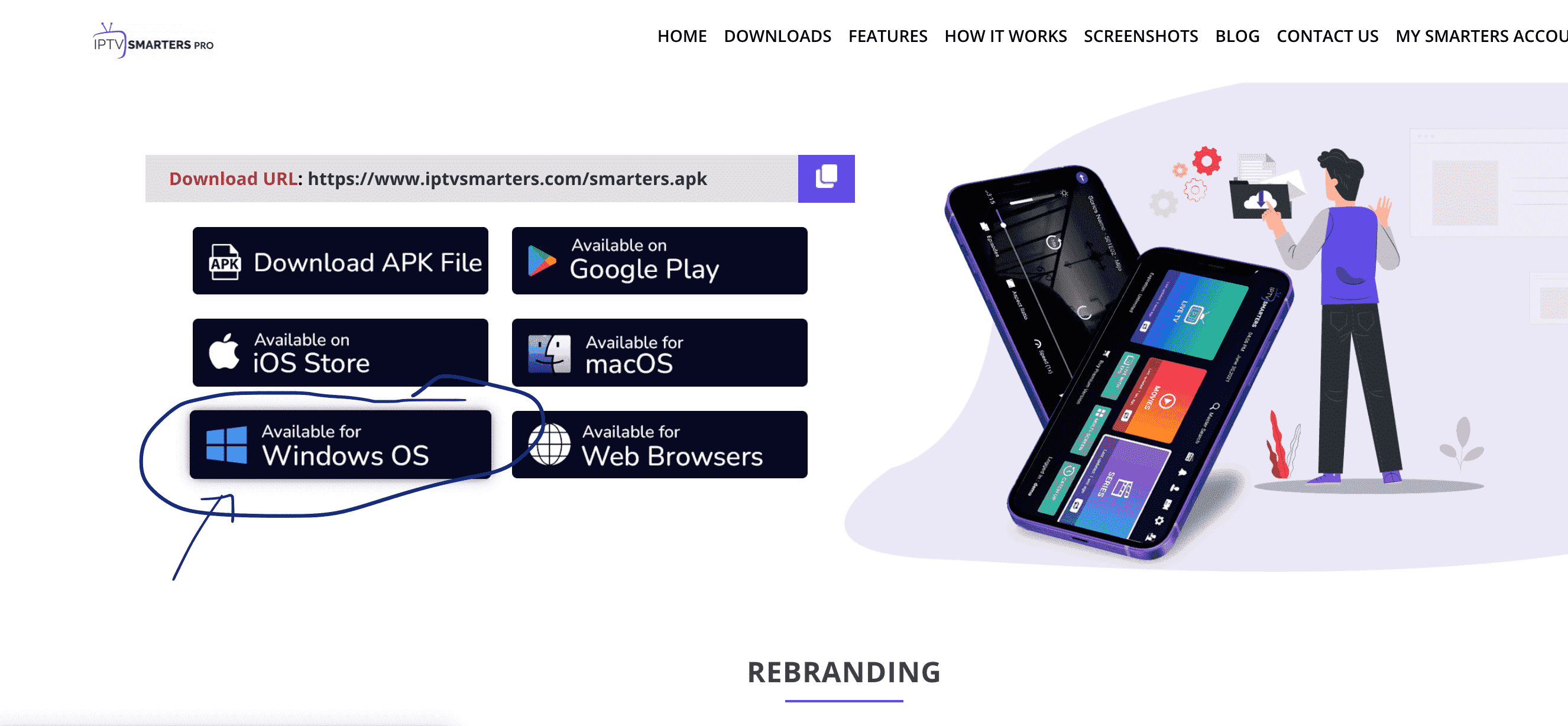 Desktop player download options